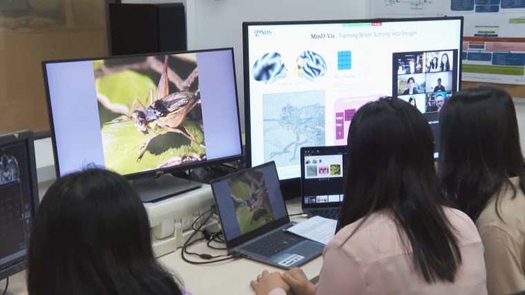 Pesquisadoras sentadas em frente a um computador, trabalham para transformar a atividade cerebral em imagens em um estudo de escaneamento cerebral feito por IA na Universidade Nacional de Cingapura.