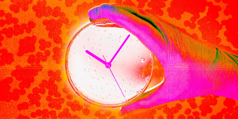 Photo Illustration: A hand in a latex glove holds a petri dish, which has clock hands inside