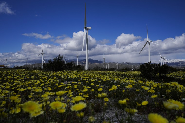 Wind turbines stand in fields near Palm Springs, Calif.,