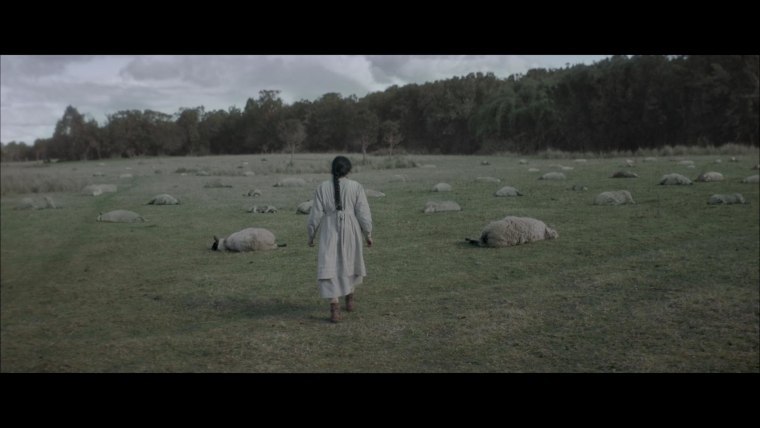 Una escena de "Brujería", película chilena de 2023 sobre una joven que fue llevada a juicio por supuestamente ser bruja. En la escena se ve a la joven caminar en un prado donde todas las ovejas de un rebaño parecen estar muertas.