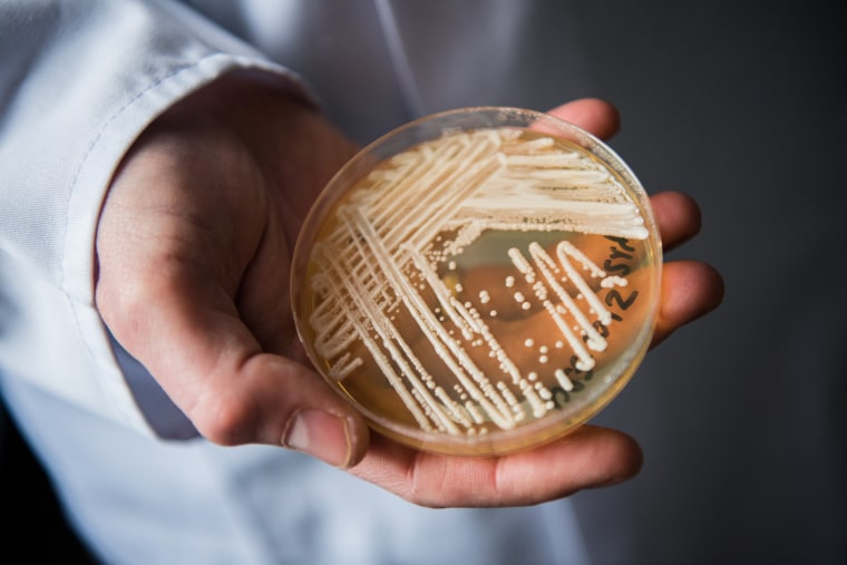 Deadly Fungus Candida Auris Spreading At 'Alarming Rate', CDC Says