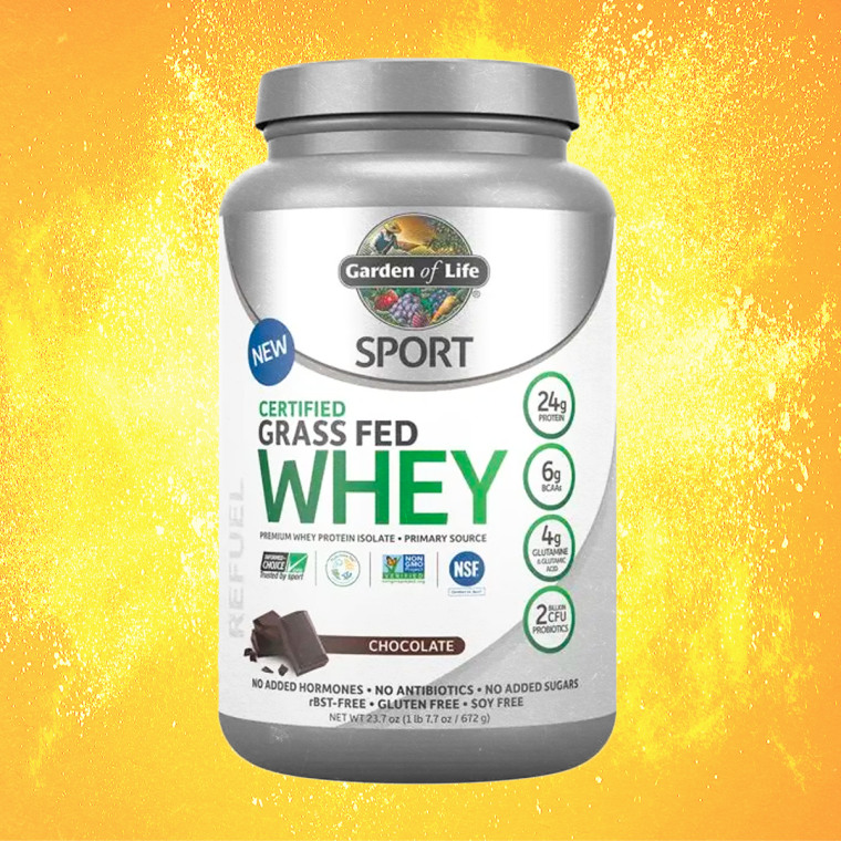 10 Best Chocolate Protein Powders, Ranked