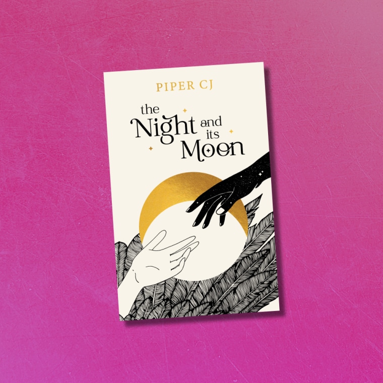 the night and it's moon book cover