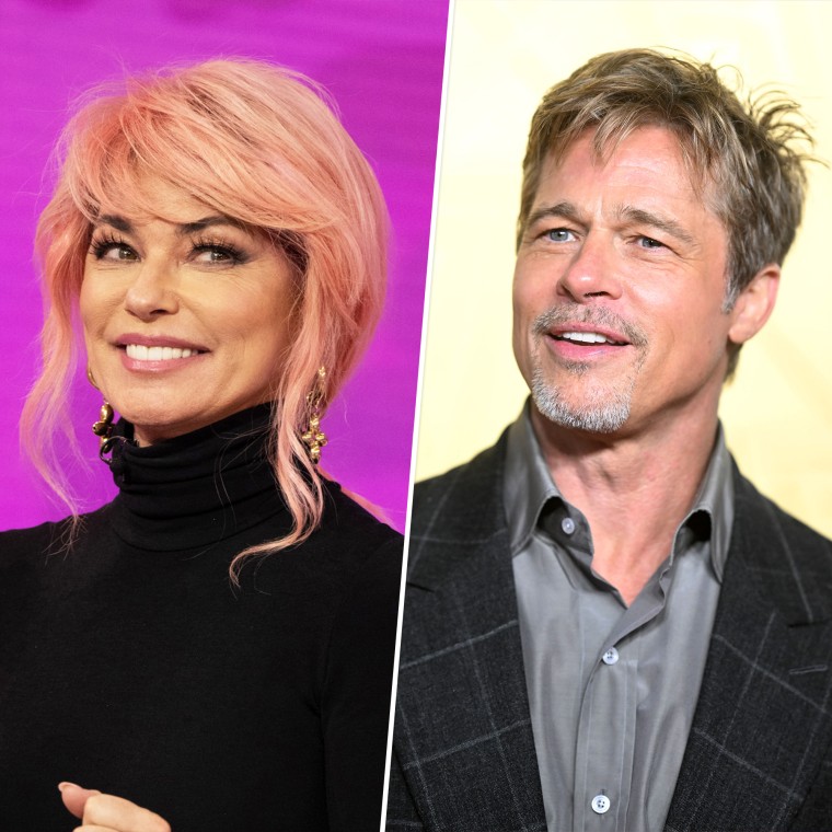 Shania Twain may sing about Brad Pitt, but the two have never met.