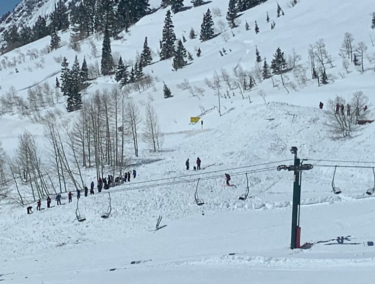 Snowbird completed a search of a beginner run near the resort’s base that was in the path of an avalanche.