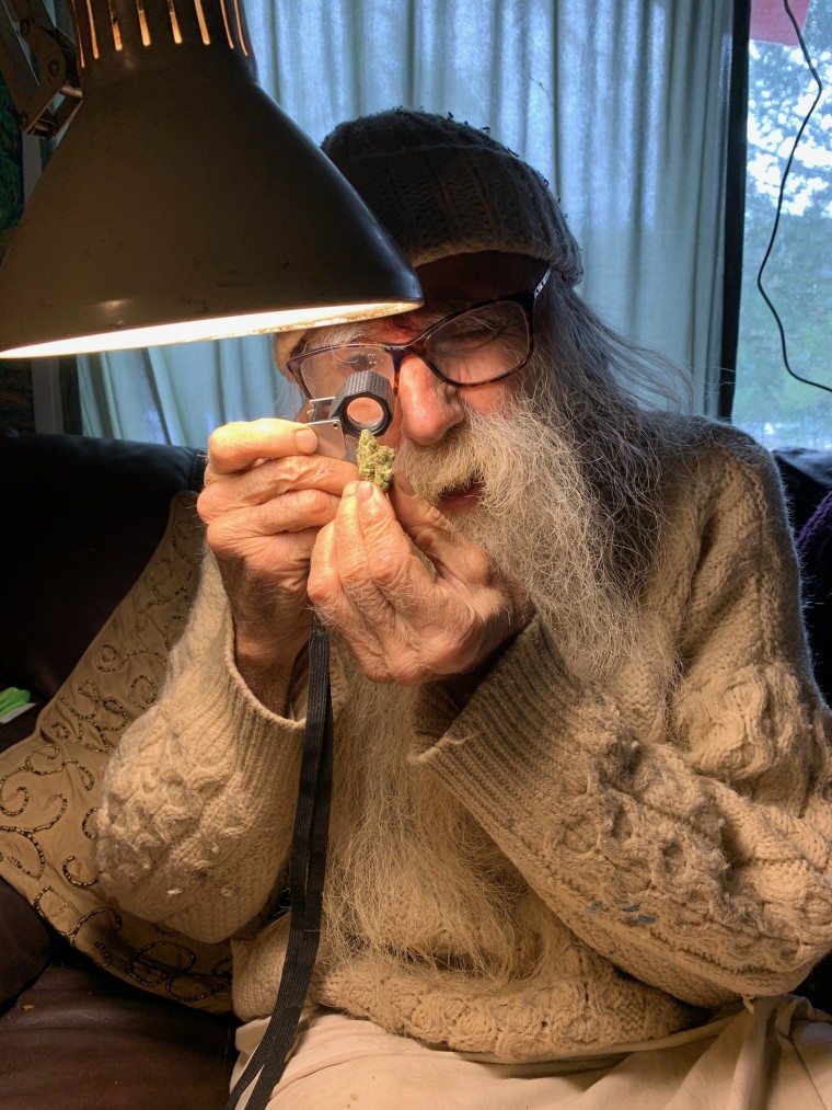 Swami Chaitanya examines cannabis samples