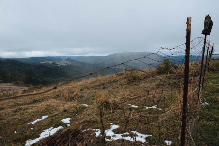 Snow remained on one of the Skyline Farms cannabis properties outside of Redway, Calif.