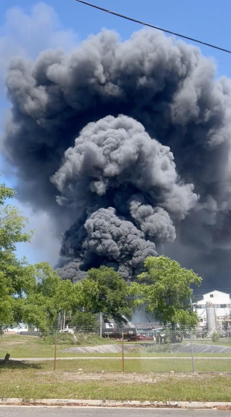 A fire at the Pinova plant in Brunswick, Georgia, on Saturday sent a large plume of smoke into the air. 