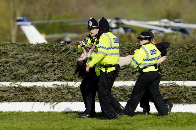 Members of the police forces remove a protester before the start of a Grand National horse race