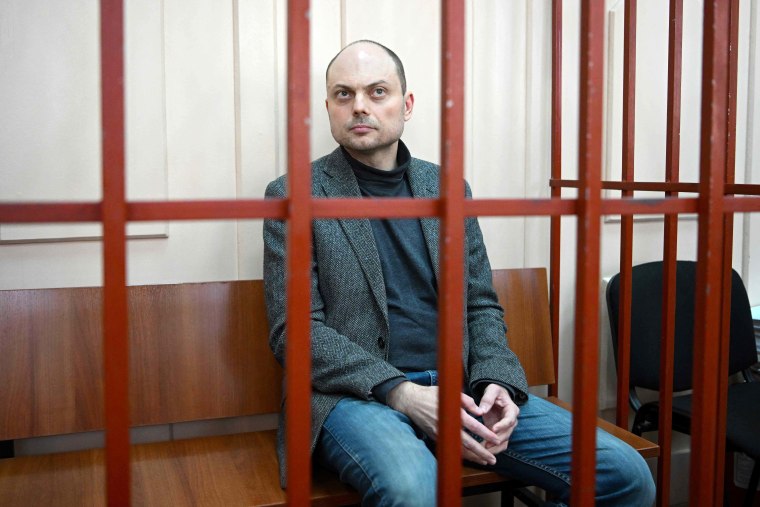 Putin critic sentenced to 25 years in jail