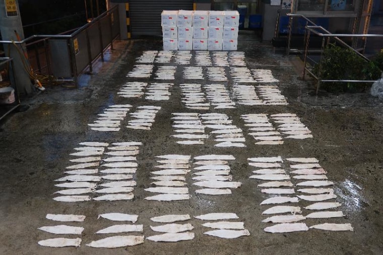Las autoridades aduaneras incautaron en el aeropuerto internacional de Hong Kong unos 160 kilogramos de vejigas de totoaba, el 4 de junio de 2020.