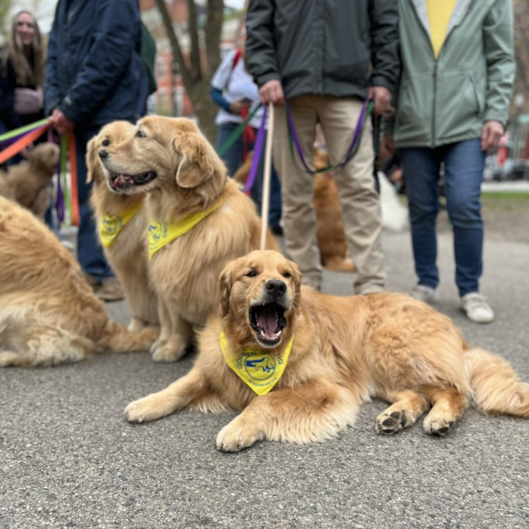 Boston Marathon