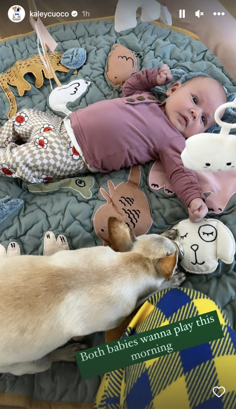 Kaley Cuoco's baby daughter Matilda stared up at shapes on a mobile while lying next to one of her parents' dogs.