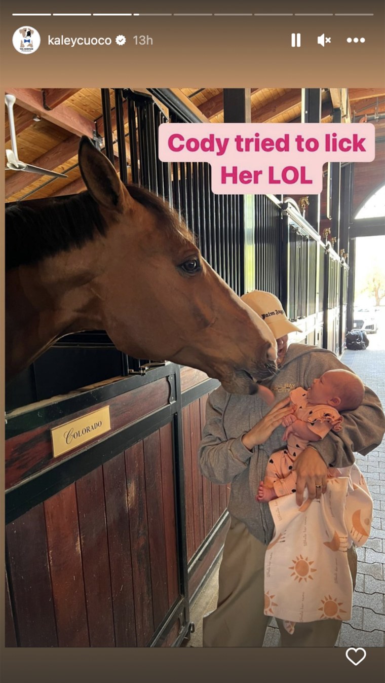 Matilda got quite a close-up from one of Cuoco's horses.