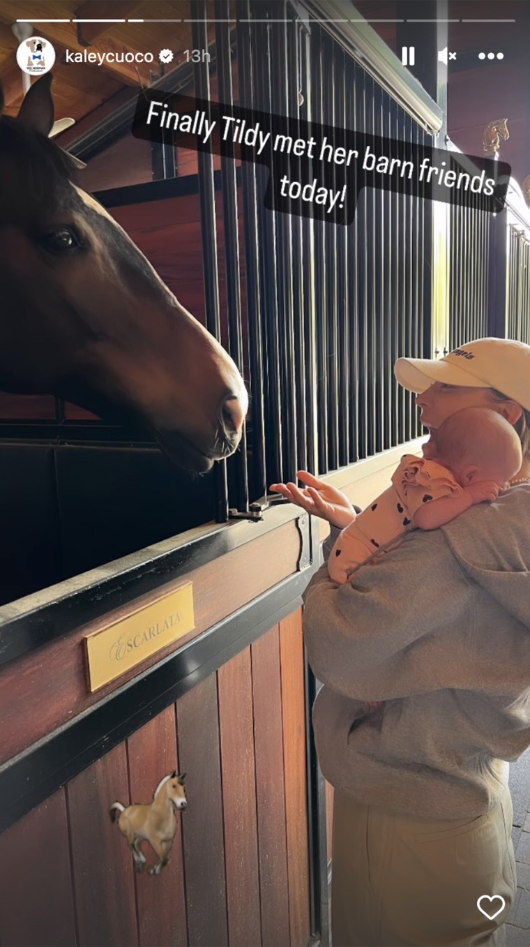 Cuoco gave the details about Matilda's time in the stable, straight from the horse's mouth.