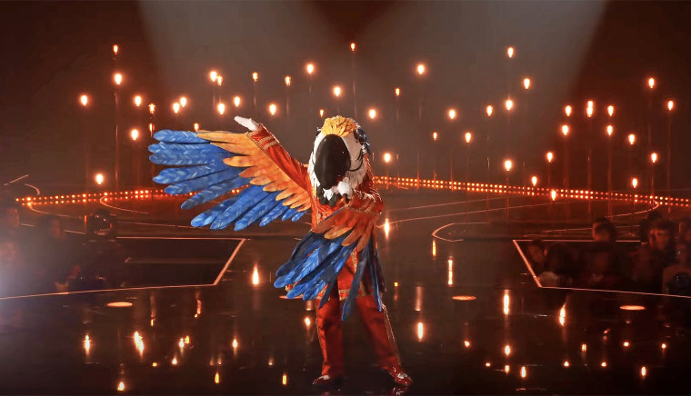 Macaw in Season Nine of "The Masked Singer."
