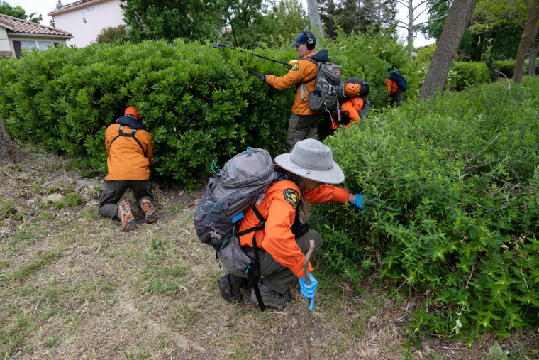 Volunteers from the Yolo County Search and Rescue Team look for evidence from the stabbing murder of Karim Abou Najm near Sycamore Park in Davis, Calif., on May 1, 2023.
