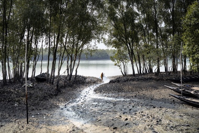 Sundarbans, the world’s largest mangrove forest.