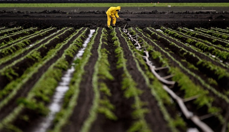 A farm worker clears a drain after a pair of powerful storms blew through the area causing mass flooding in Watsonville, Calif., on March 14, 2023.
