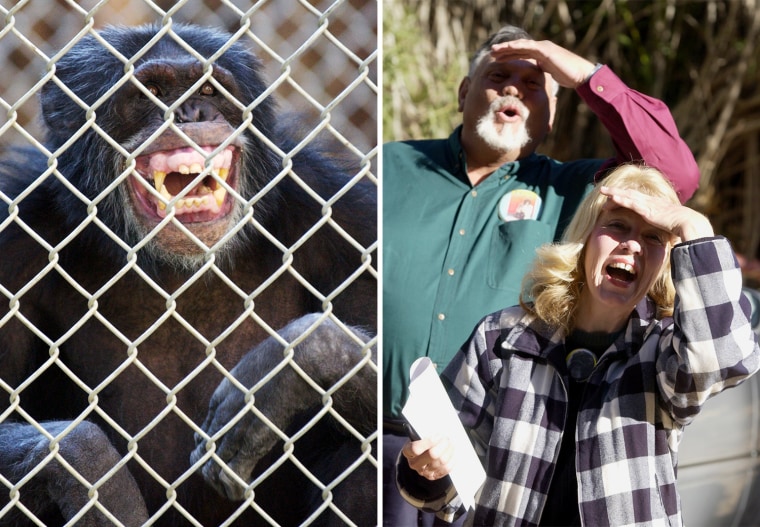  Moe waits to see his adoptive parents, St. James and LaDonna Davis, during a visit to celebrate his 37th birthday at Wildlife Waystation in 2004. 