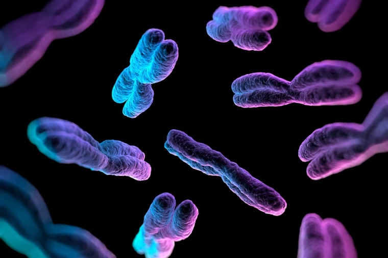 New research combines genetic material from a population of 47 genetically diverse individuals to provide a more complete image of the human genome.