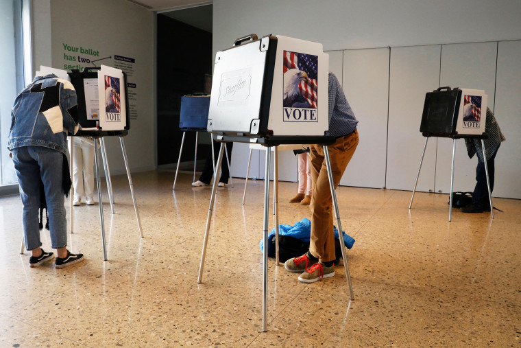 People cast their ballots during early voting for the general election at the University of Mich.