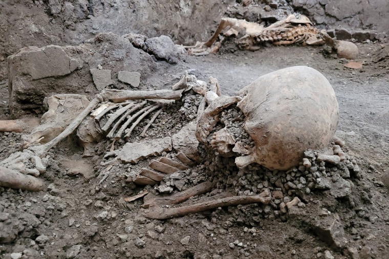 Skeletons uncovered in Pompeii date back to 79AD.