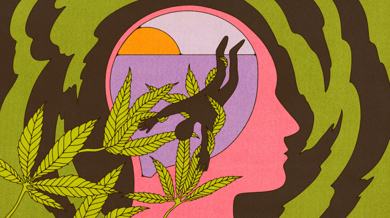 Drawn illustration of a profile-view of a human head, as a silhouette of a person is being tangled in marijuana plant leaves.