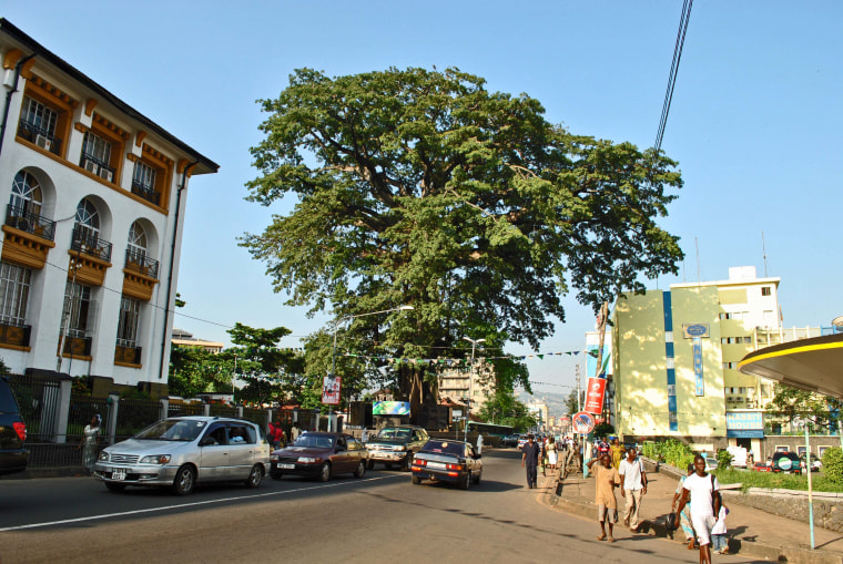 Sierra Leone Cotton Tree Falls