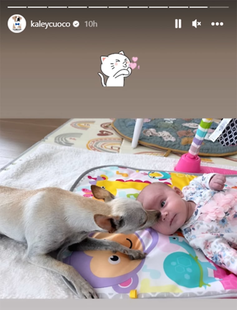 Kaley Cuoco's Daughter Gets Kisses From Family Dog In New Photo