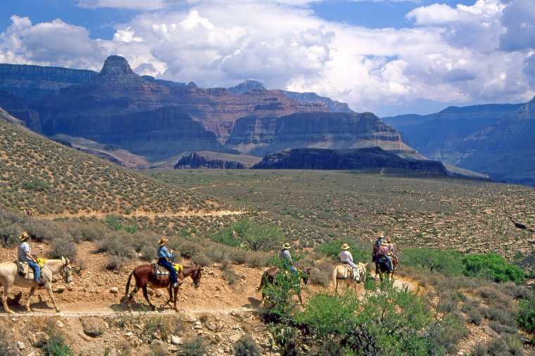 Bright Angel Trail, Grand Canyon National park.