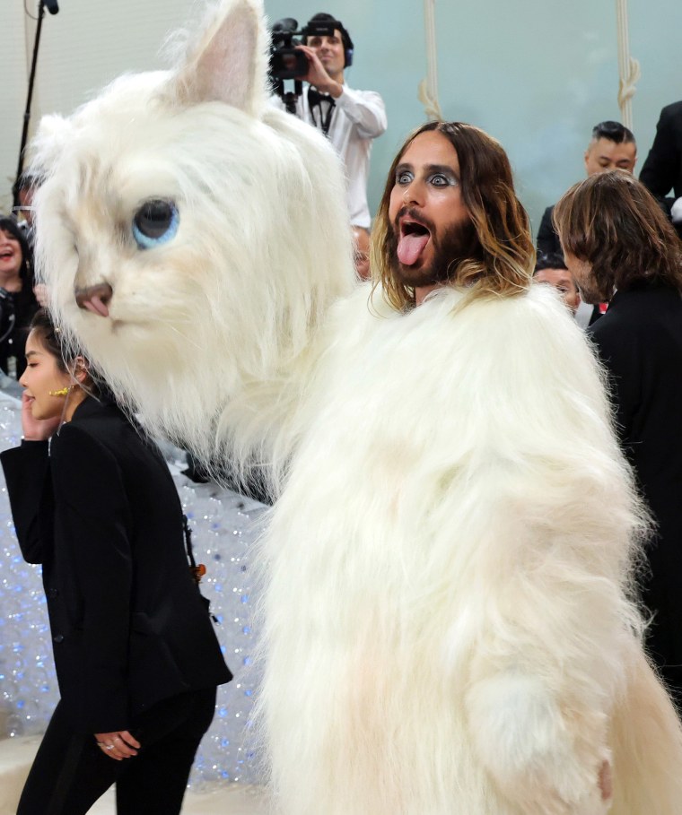 Choupette, Karl Lagerfeld’s cat, responds to her Met Gala tributes