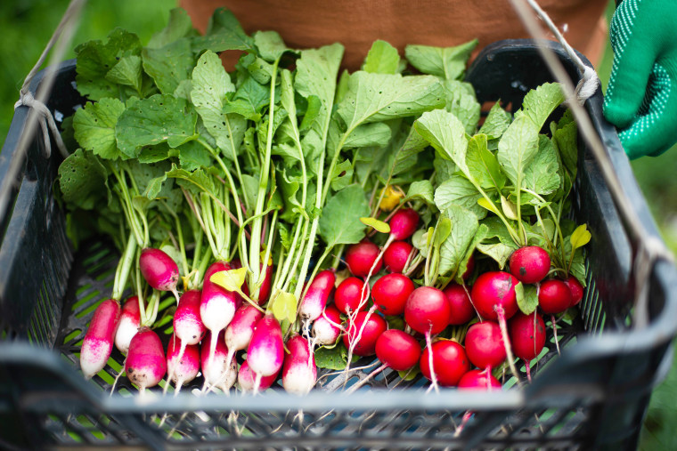 keto vegetables radishes