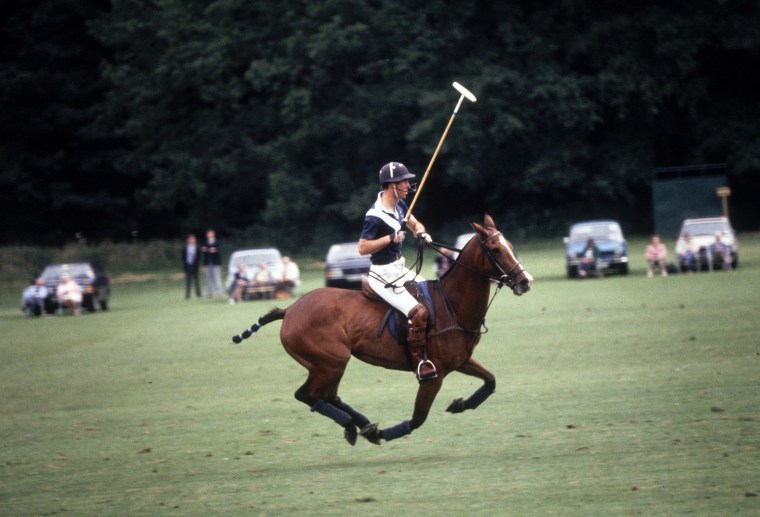 Image: Polo Prince