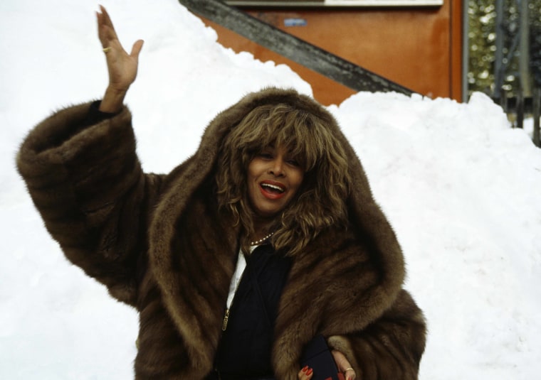 La chanteuse américaine Tina Turner