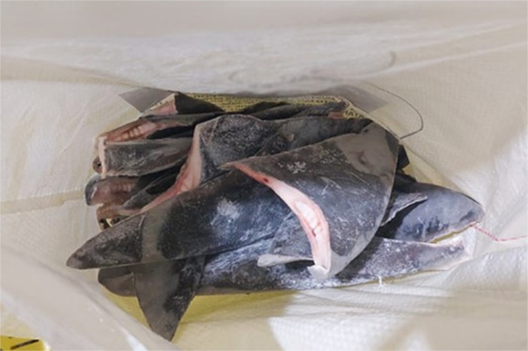 Shark fins seized by the Brazilian government.