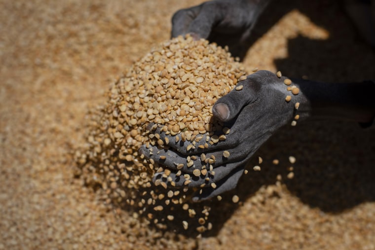 In 2023, much-needed grain and oil have gone missing for millions caught in a standoff between the Ethiopian government, the United States and the United Nations over what US officials say may be the biggest theft of food aid ever. 