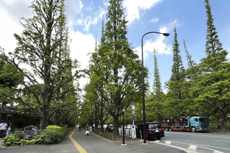 Japanese author Haruki Murakami spoke up against a controversial redevelopment plan at the heart of Tokyo's beloved historic and green district of Jingu Gaien that would tear down a nearly century-old baseball stadium that inspired him to become a novelist and his favorite running course.