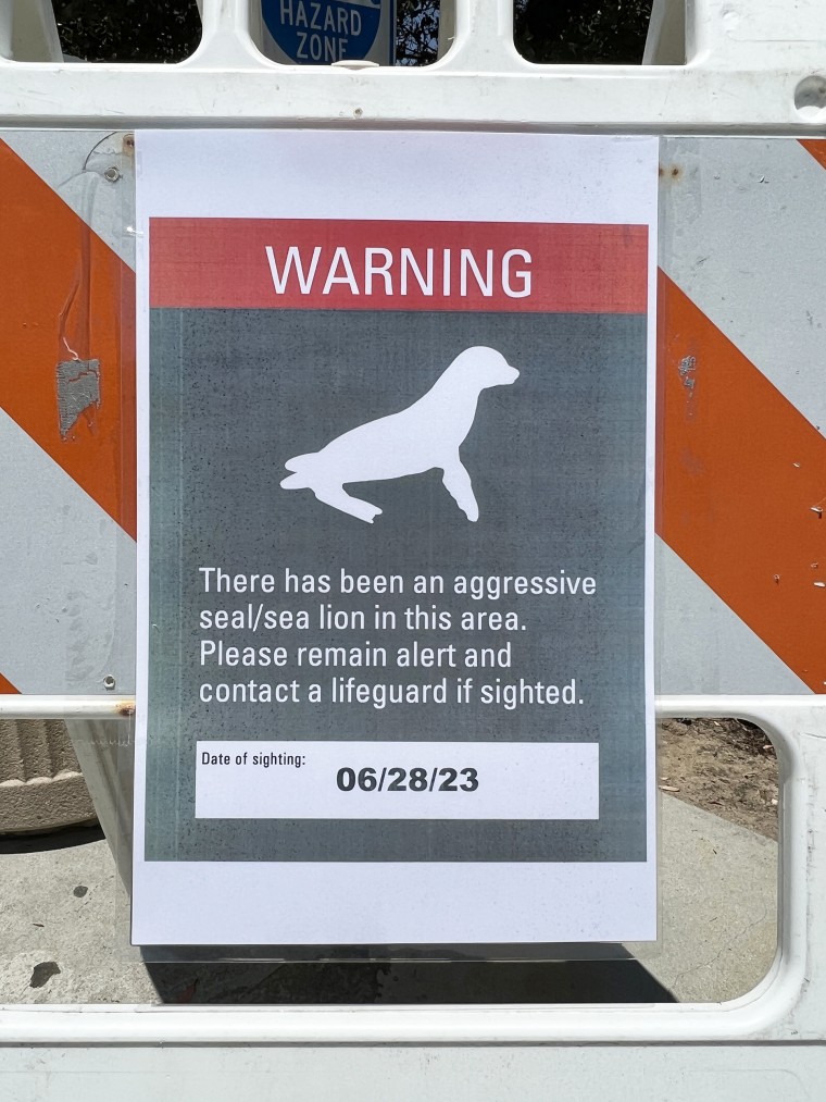 San Francisco Aquatic Park shut over 'aggressive' sea lions - BBC News