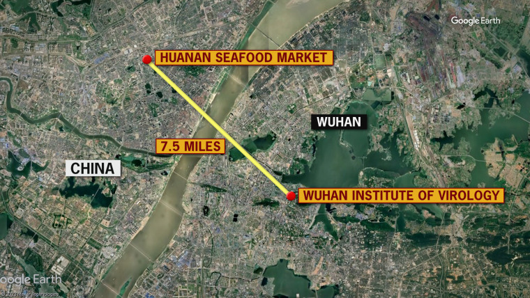 The earliest cases of Covid-19 were concentrated not around the Wuhan Institute of Virology but in a market that's nine miles away by foot.