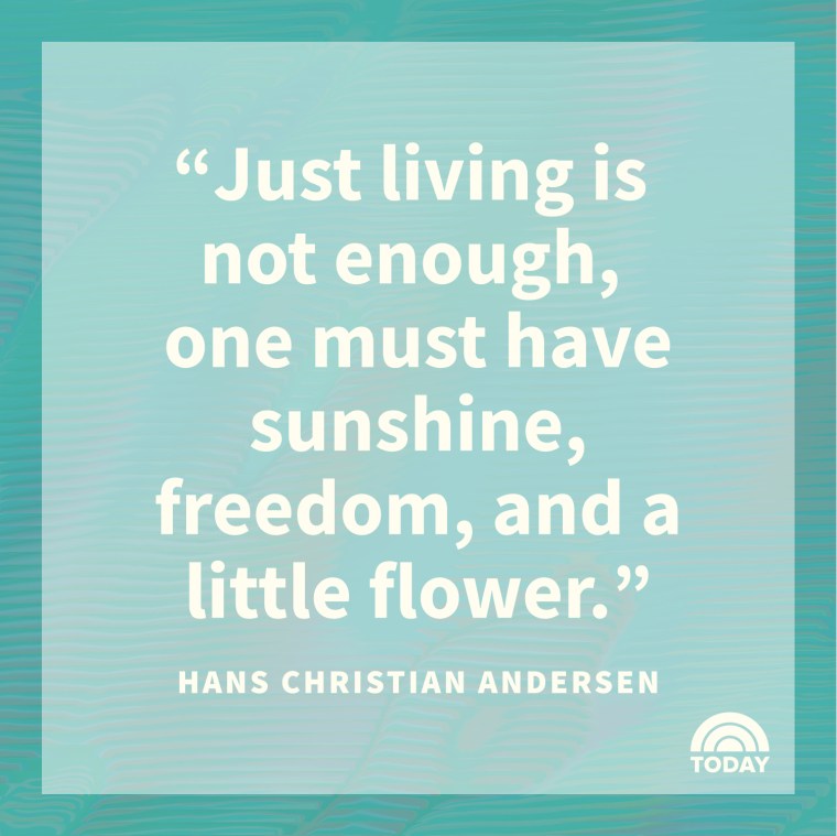 freedom quote from Hans Christian Andersen