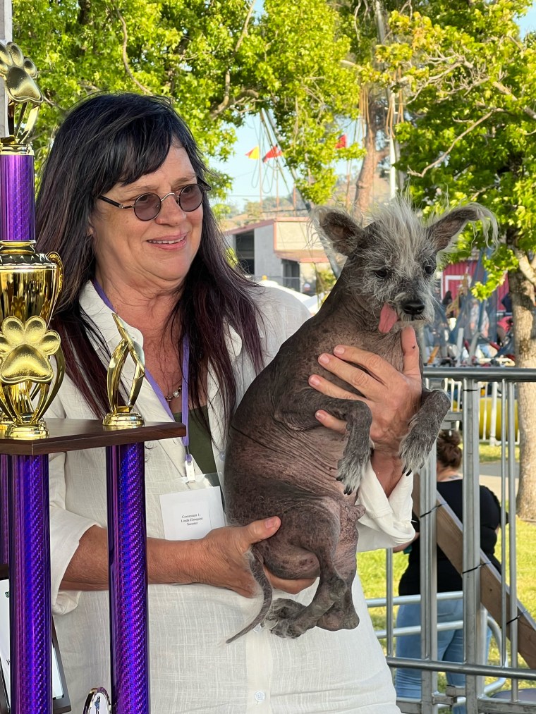 World's ugliest hot sale dog competition