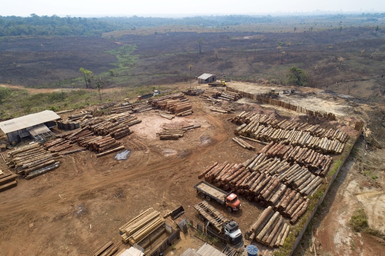 FILE - Logs are stacked at a lumber mill surrounded by recently charred and deforested fields near Porto Velho, Rondonia state, Brazil, Sept. 2, 2019. After four years of rising destruction in Brazil’s Amazon, deforestation dropped by 33.6% during the first six months of President Luiz Inacio Lula da Silva's term, according to government satellite data released Thursday, July 6, 2023.
