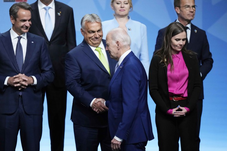 Orban Biden Handshake NATO
