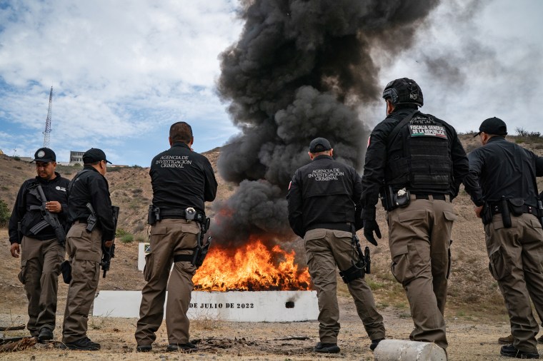 Mexican officials burning drugs