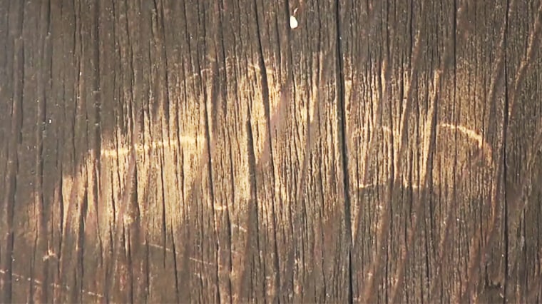 The teenager carved "Julian" into a wooden pillar at the Toshodaji Temple.