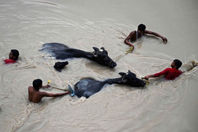 India flooding monsoon rains