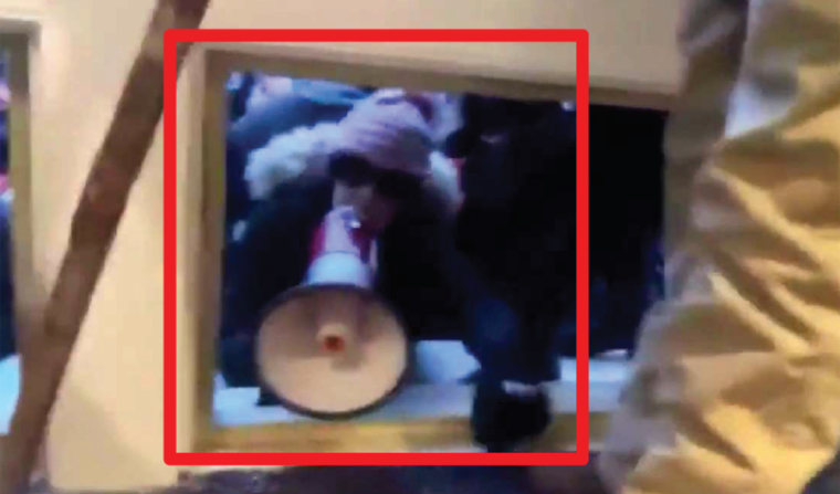 Feds seek 8 years for 'Bullhorn Lady' who smashed a Capitol window ...