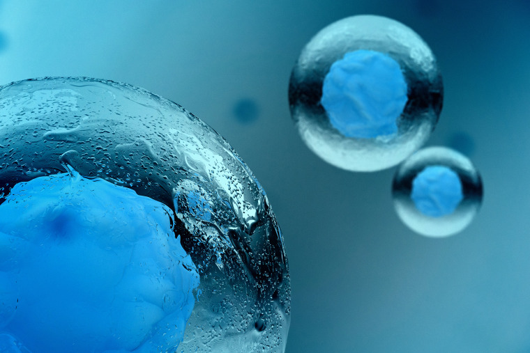 Detailed Image of  Stem Cell