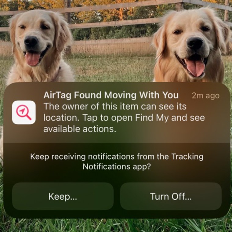 Apple sends you notifications when an AirTag that is not yours appears to be following you.